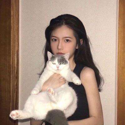 神位纷争测试服下载